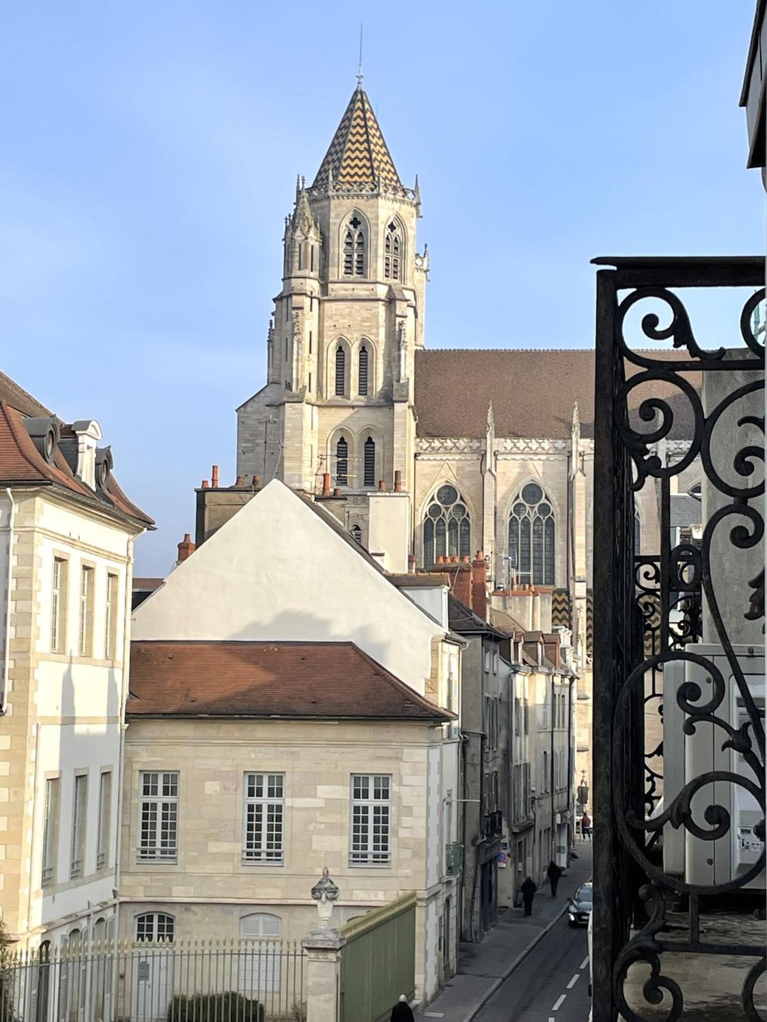 Sous Le Chene Bleu - Appartement Cosy Au Coeur De Dijon Dış mekan fotoğraf
